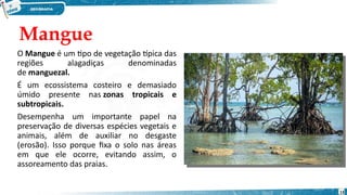 Mangue
O Mangue é um tipo de vegetação típica das
regiões alagadiças denominadas
de manguezal.
É um ecossistema costeiro e demasiado
úmido presente nas zonas tropicais e
subtropicais.
Desempenha um importante papel na
preservação de diversas espécies vegetais e
animais, além de auxiliar no desgaste
(erosão). Isso porque fixa o solo nas áreas
em que ele ocorre, evitando assim, o
assoreamento das praias.
13
 