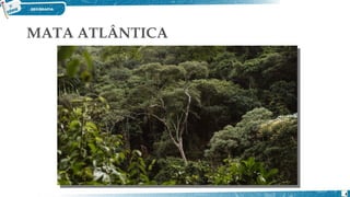MATA ATLÂNTICA
4
 