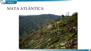MATA ATLÂNTICA
5
 