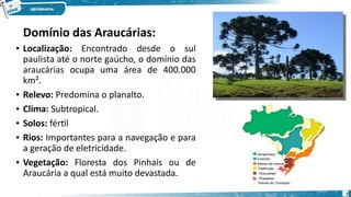 Domínio das Araucárias:
• Localização: Encontrado desde o sul
paulista até o norte gaúcho, o domínio das
araucárias ocupa uma área de 400.000
km².
• Relevo: Predomina o planalto.
• Clima: Subtropical.
• Solos: fértil
• Rios: Importantes para a navegação e para
a geração de eletricidade.
• Vegetação: Floresta dos Pinhais ou de
Araucária a qual está muito devastada.
7
 