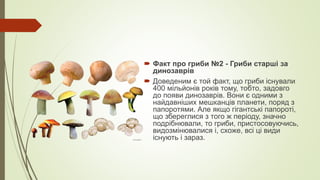  Факт про гриби №2 - Гриби старші за
динозаврів
 Доведеним є той факт, що гриби існували
400 мільйонів років тому, тобто, задовго
до появи динозаврів. Вони є одними з
найдавніших мешканців планети, поряд з
папоротями. Але якщо гігантські папороті,
що збереглися з того ж періоду, значно
подрібнювали, то гриби, пристосовуючись,
видозмінювалися і, схоже, всі ці види
існують і зараз.
 