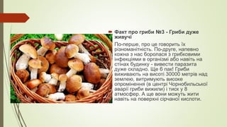  Факт про гриби №3 - Гриби дуже
живучі
 По-перше, про це говорить їх
різноманітність. По-друге, напевно
кожна з нас боролася з грибковими
інфекціями в організмі або навіть на
стінах будинку - вивести паразита
дуже складно. Ще б пак! Гриби
виживають на висоті 30000 метрів над
землею, витримують високе
опромінення (в центрі Чорнобильської
аварії гриби вижили) і тиск у 8
атмосфер. А ще вони можуть жити
навіть на поверхні сірчаної кислоти.
 