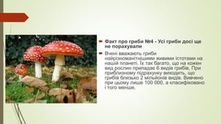  Факт про гриби №4 - Усі гриби досі ще
не порахували
 Вчені вважають гриби
найрізноманітнішими живими істотами на
нашій планеті. Їх так багато, що на кожен
вид рослин припадає 6 видів грибів, При
приблизному підрахунку виходить, що
грибів близько 2 мільйонів видів. Вивчено
при цьому лише 100 000, а класифіковано
і того менше.
 