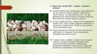  Факт про гриби №7 - Гриби - хижаки і
вбивці
 Гриби живляться черв'яками, розставляючи
на них пастки. Якщо черв'як торкнеться
такої пастки, то прилипає до неї і тут же
виявляється обплутаним нитками грибниці.
Врятуватися немає жодних шансів.
 Спори грибів можуть проростати всередину
живих істот. При цьому людина захворює, а
гусениця і зовсім гине. Гриб же при цьому
тільки розвивається.
 Однієї маленької блідої поганки вистачить,
щоб убити 4 людини. А ось мухоморів
знадобиться кілька штук.
 У давні часи з грибів готували сильнодіючі
отрути і активно використовували для
усунення супротивників. Наприклад,
імператора Клавдія отруїла його дружина
Агрипина, зваривши суп з блідої поганки.
 