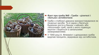  Факт про гриби №8 - Гриби - цілителі і
«батьки» антибіотиків
 Гриби з глибокої давнини використовувалися як
лікарські засоби. Та й зараз у багатьох
будинках росте в банках «чайний» або
«молочний» гриб, напій з якого підвищує
імунітет і бореться із запальними
захворюваннями.
 У 1940 році А. Флеммінг з дріжджових грибів
виділив пеніцилін, відкривши еру антибіотиків.
 