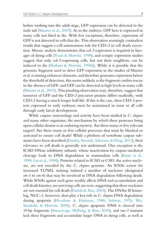 before molting into the adult stage, GFP expression can be detected in the
male tail (Maurer et al., 2007). As in the embryo, GFP here is expressed in
many cells not fated to die. With few exceptions, therefore, expression of
GFP is not detected in cells that die. This observation seemingly contradicts
results that suggest a cell-autonomous role for CED-3 in cell death execu-
tion. Mosaic analysis demonstrates that ced-3 expression is required in line-
ages of dying cells (Yuan  Horvitz, 1990), and ectopic expression studies
suggest that only ced-3-expressing cells, but not their neighbors, can be
induced to die (Shaham  Horvitz, 1996b). While it is possible that the
genomic fragment used to drive GFP expression in the studies of Maurer
et al. is missing enhancer elements, and therefore generates expression below
the threshold of detection, this seems unlikely as the fragment confers rescue
in the absence of GFP, and GFP can be detected at high levels in many cells
(Maurer et al., 2007). This puzzling observation may, therefore, suggest that
turnover of GFP and the CED-3 precursor protein differs markedly, with
CED-3 having a much longer half-life. If this is the case, then CED-3 pro-
tein expressed in early embryos must be maintained in most or all cells
through early larval development.
While caspase enzymology and activity have been studied in C. elegans
and many other organisms, the mechanism by which these proteases bring
upon cellular demise is an enduring mystery. Are there many or few relevant
targets? Are there many or few cellular processes that must be blocked or
activated to ensure cell death? While a plethora of vertebrate caspase sub-
strates have been described (Poreba, Strozyk, Salvesen,  Drag, 2013), their
relevance to cell death is generally not understood. One exception is the
ICAD DNase inhibitory subunit, whose inactivation by caspase-mediated
cleavage leads to DNA degradation in mammalian cells (Enari et al.,
1998; Liu et al., 1998). Proteins related to ICAD or CAD, the active nucle-
ase, are not encoded by the C. elegans genome. An RNAi screen for
increased TUNEL staining isolated a number of nucleases (designated
crn-1 to crn-6) that may be involved in DNA degradation following death.
While RNAi against each gene weakly affects DNA end accumulation and
cell death kinetics, no surviving cells are seen, suggesting that these nucleases
are not essential for cell death (Parrish  Xue, 2003). The DNAse II homo-
log, NUC-1, however, does play a key role in C. elegans DNA degradation
during apoptosis (Hevelone  Hartman, 1988; Sulston, 1976; Wu,
Stanfield,  Horvitz, 2000). C. elegans apoptotic DNA is cleaved into
10 bp fragments (Aruscavage, Hellwig,  Bass, 2010), and nuc-1 mutants
lack these fragments and accumulate larger DNA in dying cells, as well as
7
Cell Death in C. elegans Development
 