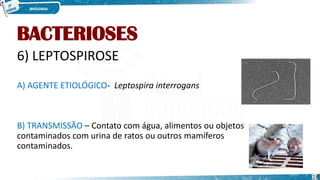 BACTERIOSES
6) LEPTOSPIROSE
A) AGENTE ETIOLÓGICO- Leptospira interrogans
B) TRANSMISSÃO – Contato com água, alimentos ou objetos
contaminados com urina de ratos ou outros mamíferos
contaminados.
18
 