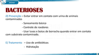 BACTERIOSES
D) Prevenção – Evitar entrar em contato com urina de animais
contaminados
- Saneamento básico
- Controle de roedores
- Usar luvas e botas de borracha quando entrar em contato
com substrato contaminado.
E) Tratamento – Uso de antibióticos
- Hidratação
20
 