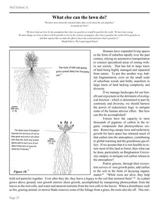 Œ  Ž     ‘ ’ “ ” • –
— ‘ ˜  ™ š
› œ  ‘ ’ ž Ÿ ‘     ¡ ¢ ‘ ’ “  “  £   £ ’ ˜ ž ¢ ‘   ž
£ ’ ¤ Ÿ  ¥ ¦ §  ¦ ¥ ž œ ¨ œ § ¨ £ ‘ § ‘ ¢ £ “  © ¦    § ¤ Ÿ  ¢ ‘ ž ¤
  ’ ¤ œ § © ” §   © £ ’ ˜ ¦ ’ ‘ œ ¤ ¦  ¦ ¤ £    ¤ § ‘ ’ ž ¢ ¦ § ¤ ‘ ¤ £ ¦ ’
¤ ¦  ¦ ’ ’   ¤ ž ¢   £ ‘  £ ª  “ ‘ §  ‘ ž ¦ ¥ ª ¦ ’ £ ’ ˜ « £ ¤ Ÿ ¬
£ ’ ¦ œ § ž ¦  £  ¤ © – ­ Ÿ ‘ ¤ Ÿ ‘ ž   “ ¤ ¦  ‘ § ˜  ¤ § ‘  ¤ ž
¦ ¥  ‘ ’ “ ¨  £ ’ ˜ Ÿ £ ˜ Ÿ  ©  ‘ ’ ‘ ˜  “ ‘ ’ “ ž  ¢ ‘ § ‘ ¤  “
¥ § ¦  ’ ‘ ¤ œ §  – ­ ¦ ¢ œ ¤ ¤ Ÿ £ ž ‘ ’ ¦ ¤ Ÿ  § « ‘ © ” Ÿ ‘ ¨ ¬
£ ¤ ‘ ¤ ¥ § ‘ ˜   ’ ¤ ‘ ¤ £ ¦ ’ ”     ’ ¦ ’ ¤ Ÿ  ž  ‘   ž  ‘  
¦ ¥ ž œ ¨ œ § ¨ £ ‘ ’ « ¦ ¦ “ ž ‘ ’ “ ®   “ ž ”  ‘ ’ £ ¥  ž ¤ ž £ ’
 ‘ § ˜  ¤ § ‘  ¤ ž ¦ ¥  ‘ ’ “  ‘  ¯ £ ’ ˜  ¦  ¢   ¡ £ ¤ © ‘ ’ “
“ £    § ž £ ¤ © –
° ¥ «   ‘ ’ ‘ ˜   ‘ ’ “ ž  ‘ ¢  ž ¥ ¦ § ¦ œ § ¨  ’ ¬
 ® ¤ ‘ ’ “  ’ ± ¦ ©   ’ ¤ ‘ ¤ ¤ Ÿ  “  ¤ § £   ’ ¤ ¦ ¥   ¦  ¦ ˜ ¬
£  ‘  ¥ œ ’  ¤ £ ¦ ’ ¬ « Ÿ £  Ÿ £ ž “  ¤  §  £ ’  “ £ ’ ¢ ‘ § ¤ ¨ ©
 ¦ ’ ¤ £ ’ œ £ ¤ © ‘ ’ “ “ £    § ž £ ¤ © ” «  ž Ÿ ¦ œ  “ Ÿ ‘ § ’  ž ž
¤ Ÿ  ¢ ¦ «  § ¦ ¥ §  “ œ  ¤ £ ¦ ’ £ ž ¤  ¦ ˜ £  ¤ ¦  £ ¤ £ ˜ ‘ ¤ 
ž ¦   ¦ ¥ ¤ Ÿ  Ÿ œ  ‘ ’ ‘ “    § ž   ¥ ¥   ¤ – ² œ ¤ Ÿ ¦ «
 ‘ ’ ¤ Ÿ £ ž ¨  ‘   ¦  ¢  £ ž Ÿ  “ ³
´ ¦ §  ž ¤ ž Ÿ ‘    ¤ Ÿ   ‘ ¢ ‘  £ ¤ © ¤ ¦ ž ¤ ¦ § 
¤ Ÿ ¦ œ ž ‘ ’ “ ž ¦ ¥ ˜ £ ˜ ‘ ¤ ¦ ’ ž ¦ ¥  ‘ § ¨ ¦ ’ £ ’ ¤ Ÿ  ¦ § ¬
˜ ‘ ’ £   ¦  ¢ ¦ œ ’ “ ž ¤ Ÿ ‘ ¤ ¢ Ÿ ¦ ¤ ¦ ž © ’ ¤ Ÿ  ž £ ž  §  ¬
‘ ¤  ž – µ   ¦   £ ’ ˜  ‘ ’ ¦ ¢ © ¤ §   ž ‘ ’ “ œ ’ “  § ž ¤ ¦ § ©
˜ § ¦ « ¤ Ÿ ¥ ¦ §  ‘ « ’ ž ¢ ‘   Ÿ ‘ ž §    ‘ ž  “  œ  Ÿ ¦ ¥
¤ Ÿ ‘ ¤  ‘ § ¨ ¦ ’ £ ’ ¤ ¦ ¤ Ÿ  ‘ ¤  ¦ ž ¢ Ÿ  §  ”  ¦ ’ ¤ § £ ¨ œ ¤ £ ’ ˜
¤ ¦ ˜  ¦ ¨ ‘  « ‘ §  £ ’ ˜ ‘ ’ “ ¤ Ÿ  ˜ §   ’ Ÿ ¦ œ ž  ˜ ‘ ž  ¥ ¬
¥   ¤ – ° ¥ «  ‘ ž ž œ   ¤ Ÿ ‘ ¤ £ ¤ £ ž ’ ¦ ¤ ¥  ‘ ž £ ¨   ¤ ¦ §  ¬
¤ œ § ’  ¦ ž ¤ ¦ ¥ ¤ Ÿ £ ž  ‘ ’ “ ¤ ¦ ¥ ¦ §  ž ¤ ” ¤ Ÿ  ’ « Ÿ ‘ ¤  ‘ ’
¨  “ ¦ ’  ” ¢ ‘ § ¤ £  œ  ‘ §  © ¦ ’ ² £ ’ ˜ Ÿ ‘  ¤ ¦ ’ ¶ ’ £    § ¬
ž £ ¤ ©  ‘  ¢ œ ž ” ¤ ¦  £ ¤ £ ˜ ‘ ¤  ž ¦ £   ‘ § ¨ ¦ ’ §    ‘ ž  ¤ ¦
¤ Ÿ  ‘ ¤  ¦ ž ¢ Ÿ  §  ³
— § ‘ £ § £  ˜ § ‘ ž ž  ž ” ¤ Ÿ § ¦ œ ˜ Ÿ ¤ Ÿ  £ §   ¦ ž © ž ¬
¤   ž  §   £   ¦ ¥ § ¦ ¦ ¤ ˜ § ¦ « ¤ Ÿ ¢ œ  ž  ” ‘ “ “  ‘ § ¨ ¦ ’
¤ ¦ ¤ Ÿ  ž ¦ £  £ ’ ¤ Ÿ  ¥ ¦ §  ¦ ¥ “   ‘ © £ ’ ˜ ¦ § ˜ ‘ ’ £ 
 ‘ ¤ ¤  § – · · ¸ ¹ Ÿ £   § ¦ ¦ ¤ ž ‘ §  ‘  £    ” ¤ Ÿ  © Ÿ   ¢
Ÿ ¦  “ ž ¦ £  ¢ ‘ § ¤ £    ž ¤ ¦ ˜  ¤ Ÿ  § – º    ’ ‘ ¥ ¤  § ¤ Ÿ  © “ £  ” ¤ Ÿ  ©   ‘    ‘   ˜ ‘  © ¤ ¦ ¤ Ÿ  ž ¦ £  ¤ Ÿ ‘ ¤ ’ œ § ¤ œ §  “ ¤ Ÿ   » – · ¼ ½ ž ‘ ¢  ‘ ’ ¤
˜ § ¦ « ž ‘ ¨ ¦    ˜ § ¦ œ ’ “ ” § ¦ ¦ ¤ ˜ § ¦ « ¤ Ÿ  £ § § ¦ § ž ž Ÿ ¦ ¦ ¤ ˜ § ¦ « ¤ Ÿ ” ‘   ¦  ¢  £ ž Ÿ  “ ¨ © ¤ § ‘ ’ ž ¢ ¦ § ¤ £ ’ ˜ ¢ Ÿ ¦ ¤ ¦ ž © ’ ¤ Ÿ ‘ ¤  ¥ § ¦  ¤ Ÿ 
  ‘    ž ¤ ¦ ¤ Ÿ  § ¦ ¦ ¤     ž ” ‘ ’ “ « ‘ ¤  § ‘ ’ “  £ ’  § ‘  ’ œ ¤ § £  ’ ¤ ž ¥ § ¦  ¤ Ÿ  § ¦ ¦ ¤     ž ¤ ¦ ¤ Ÿ    ‘    ž – ¹ Ÿ  ’ ‘ “ £ ž ¤ œ § ¨ ‘ ’   ž œ  Ÿ
‘ ž ® §  ” ˜ § ‘ ª £ ’ ˜ ‘ ’ £  ‘  ” ¦ §  ¦ «  § ¨  ‘ “  §   ¦    ž ž ¦   ¦ ¥ ¤ Ÿ  ¥ ¦  £ ‘ ˜  ¥ § ¦  ‘ ˜ § ‘ ž ž ” ¤ Ÿ  § ¦ ¦ ¤ ž ‘  ž ¦ “ £  ¦ ¥ ¥ – ­ Ÿ £ ž  £ § ¬
¾ ¿ À Á Â Ã Ä Å Ã Æ À Ç È Ã É Ê Ê Ë À Ì À Í À Î Ê Ï Ç Í È Ã Ð Ï À Î Ê Ë Ç Â Ä À Ð Ã Ç È Ã É Ê Ê Ë À Î Ã Ï Í É Â Ð À Æ Ñ Ã Ã Ê Ò Ó
Ô Õ
À Ã Â Ç Æ Ð Ã Ð Ç Ö Ï Â Ì Ï × Ø
¾ ¿ À Ë Ç Ù À Í Ï Ù À Ð Ã É Æ Í Ï Ù À Î È Ú Ê Ë À Ç Î Î É Å Û Ê Ï Ã Â Ê Ë Ç Ê Ä Ë Ç Ê Ä Ç Î Ü Ã Ã Ð Ñ Ã Æ É Î Ä Ã É Í Ð È À Ü Ã Ã Ð Ñ Ã Æ Ê Ë À Ä Ã Æ Í Ð Ò ¿ À Ë Ç Ù À È À À Â Ä Æ Ã Â Ü Ò
¿ À Å É Î Ê Ì Ë Ç Â Ü À Ã É Æ Í Ï Ù À Î Î Ã Ê Ë Ç Ê Ï Ê Ä Ï Í Í È À Û Ã Î Î Ï È Í À Ê Ã Í Ï Ù À È Ú Ê Ë À Ì Ã Â Ê Æ Ç Æ Ú Ç Î Î É Å Û Ê Ï Ã Â Ý Ê Ë Ç Ê Ä Ë Ç Ê Ï Î Ü Ã Ã Ð Ñ Ã Æ Ê Ë À Ä Ã Æ Í Ð Ä Ï Í Í È À Ü Ã Ã Ð Ñ Ã Æ É Î Ò
Þ Â Ð Ê Ë Ç Ê Æ À ß É Ï Æ À Î Ê Ë Ç Ê Ä À Å Ç Á À Ê Ë À À Ñ Ñ Ã Æ Ê Ê Ã Á Â Ã Ä Ê Ë À Ä Ã Æ Í Ð Ç Â Ð Í À Ç Æ Â Ä Ë Ç Ê Ï Î Ü Ã Ã Ð Ñ Ã Æ Ï Ê Ò Ó
Ô
¿ À Â Ð À Í Í à À Æ Æ Ú Ý á Ë À
Õ
Ã Â Ü
Ô Õ
À Ü Ü À Ð â Ã É Î À ã
ä å æ ç è é ê ë ì
í î
í î
í î
 
