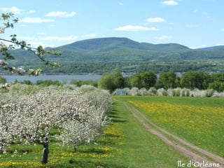 Île   d’Orléans 