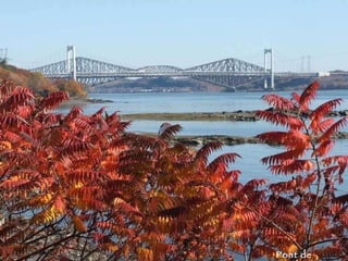 Pont de Québec 