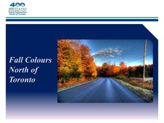 Fall Colours North of Toronto 
