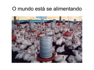 Ficar muitas horas sem comer 
