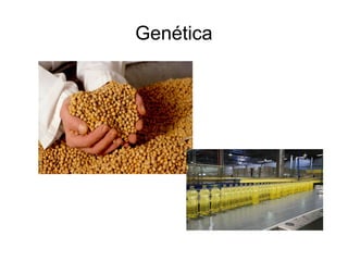 Genética 