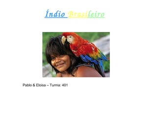 Índio Brasileiro
Pablo & Eloisa – Turma: 401
 