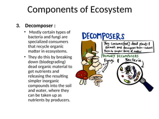 Learn about ecology and the different types of ecosystem | PPT