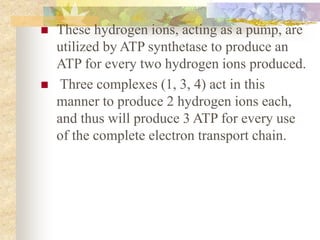  These hydrogen ions, acting as a pump, are 
utilized by ATP synthetase to produce an 
ATP for every two hydrogen ions produced. 
 Three complexes (1, 3, 4) act in this 
manner to produce 2 hydrogen ions each, 
and thus will produce 3 ATP for every use 
of the complete electron transport chain. 
 