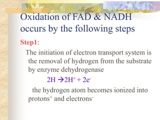 Oxidation of FAD & NADH 
occurs by the following steps 
Step1: 
The initiation of electron transport system is 
the removal of hydrogen from the substrate 
by enzyme dehydrogenase 
2H 2H+ + 2e-the 
hydrogen atom becomes ionized into 
protons+ and electrons- 
 