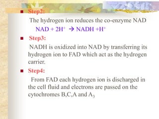  Step2: 
The hydrogen ion reduces the co-enzyme NAD 
NAD + 2H+  NADH +H+ 
 Step3: 
NADH is oxidized into NAD by transferring its 
hydrogen ion to FAD which act as the hydrogen 
carrier. 
 Step4: 
From FAD each hydrogen ion is discharged in 
the cell fluid and electrons are passed on the 
cytochromes B,C,A and A3 
 