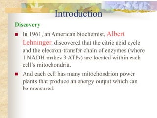 Introduction 
Discovery 
 In 1961, an American biochemist, Albert 
Lehninger, discovered that the citric acid cycle 
and the electron-transfer chain of enzymes (where 
1 NADH makes 3 ATPs) are located within each 
cell’s mitochondria. 
 And each cell has many mitochondrion power 
plants that produce an energy output which can 
be measured. 
 