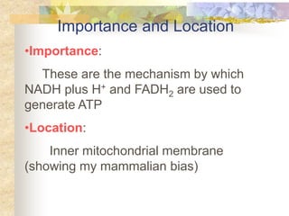 Importance and Location 
•Importance: 
These are the mechanism by which 
NADH plus H+ and FADH2 are used to 
generate ATP 
•Location: 
Inner mitochondrial membrane 
(showing my mammalian bias) 
 
