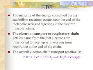 ETC 
 The majority of the energy conserved during 
catabolism reactions occurs near the end of the 
metabolic series of reactions in the electron 
transport chain. 
 The electron transport or respiratory chain 
gets its name from the fact electrons are 
transported to meet up with oxygen from 
respiration at the end of the chain. 
 The overall electron chain transport reaction is: 
2 H+ + 2 e+ + 1/2 O2 ---> H2O + energy 
 