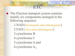 ETC 
 The Electron transport system contains 
mainly six components arranged in the 
following sequence 
1.NAD (Nicotinamide adino dehydragenase) 
2.FAD ( Flavo adino dehydragenase) 
3.cytochrome B 
4.cytochrome C 
5.cytochrome A and 
6.cytochrome A3 
 