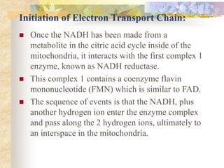 Initiation of Electron Transport Chain: 
 Once the NADH has been made from a 
metabolite in the citric acid cycle inside of the 
mitochondria, it interacts with the first complex 1 
enzyme, known as NADH reductase. 
 This complex 1 contains a coenzyme flavin 
mononucleotide (FMN) which is similar to FAD. 
 The sequence of events is that the NADH, plus 
another hydrogen ion enter the enzyme complex 
and pass along the 2 hydrogen ions, ultimately to 
an interspace in the mitochondria. 
 
