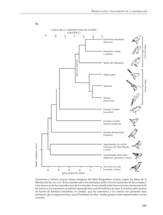PRESENTACIÓN Y TRATAMIENTO DE LA INFORMACIÓN



                                                    13.

                                                                                      ALGUNAS DIFERENCIAS ENTRE LOS DOS SEXOS

                                                                            MEDIDA                               MUJERES                   HOMBRES
                                                      Peso del cerebro
                                                           Pequeño                                                1 060 g                   1 100 g
                                                           Mediano                                                1 275 g                   1 400 g
                                                           Grande                                                 1 550 g                   1 700 g
                                                      Peso del corazón                                             255 g                     312 g
                                                      Cantidad de sangre                                      3.8 a 4.75 litros         4.64 a 5.7 litros
                                                      Superficie de la piel                                       1.61 m2                   1.86 m2
                                                      Agua: % peso del cuerpo                                       54%                       60%
                                                      Músculo: % peso del cuerpo                                    36%                       42%
                                                      Grasa: % peso del cuerpo                                      28%                       18%
                                                      Hueso: % peso del cuerpo                                      18%                       18%
                                                      Longitud media de la columna vertebral                       61 cm                     71 cm
                                                      Capacidad pulmonar total a los 25 años
                                                           Pequeño                                                  3.11                      4.3 l
                                                           Mediano                                                  4.2 l                     7.4 l
                                                           Grande                                                   5.4 l                     8.9 l
                                                      Número de respiraciones por minuto
                                                      (en reposo) aire aspirado por cada respiración              20 – 22                    14-18
                                                           En reposo                                               0.34 l                    0.75 l
                                                           Trabajo ligero                                          0.86 l                    1.68 l
                        FUENTE: El cuerpo humano.




                                                           Trabajo pesado                                          0.88 l                    2.03 l
                                                           Máxima inspiración posible (capacidad vital)
                                                           a los 25 años                                           2.99 l                    4.90 l
                                                      Número de glóbulos rojos por milímetro cúbico
                                                      promedio de los EU.                                   4 200 000 – 5 400 000     4 600 000 – 6 200 000


                                                    14.

                                                                  EL CUERPO HUMANO                  El agua del cuerpo humano. Si fuera posible
                                                          PORCENTAJE DE AGUA EN TEJIDOS             sacar toda el agua de un hombre de 72 kg de
                                                                                                    peso, su cuerpo deshidratado no pesaría más
                                                                              Grasa       20
                                                                                                    de 29 kg. Este cuadro indica dónde se distribu-
                                                                            Sangre        80
                                                                                                    ye la mayor parte del agua del cuerpo. No hay
                                                                            Hueso         25        más agua en la sangre que en muchos de los
                                                                       Conjuntivo         60        tejidos llamados “sólidos”. Los aficionados a
                                                                              Riñón       80        los baños turcos se apesadumbrarán al saber
                                                                            Hígado        70        que hay menos agua en la grasa que en cual-
                                                                Músculo (estriado)        75        quier otro tejido, inclusive el hueso. Los que
                                                                               Piel       70        tienen más agua son las propias células. (Ejer-
                                                                   Tejido nervioso        65        cicio: presentar gráficamente la información
                                                                      Materia gris        85        contenida en la tabla.)
                                                                   Materia blanca         70


                                                                                                                                                            295



M/SEC/P-271-327.PM6.5                                     295                                                     6/20/01, 11:16 AM
 