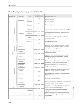 MATEMÁTICAS



              17. Modelo puntuado

                                                                             Padre normal                                  Madre portadora

                                                                                 X                                             X X
                                                                                         Y


                                                             Espermatozoide                                         Óvulo




                                                                                                                                                                         FUENTE: Investigación y ciencia.
                                                                         Hija                 Hijo                 Hijo                Hija
                                                                        normal               normal              homofílico          portadora


              Herencia de la hemofilia, que está ligada al sexo porque el gen del factor VII se halla en el cromosoma
              X. Un varón portador de un gen del factor VII que haya mutado carece de factor VIII normal: es, por
              tanto, hemofílico. Una hembra portadora no sufre la enfermedad, pues el gen normal de su segundo
              cromosoma X la protege; la mitad de sus hijas serán portadoras y la mitad de sus hijos hemofílicos. En
              el caso de que el padre fuese hemofílico y la madre normal (no contemplado en el esquema), los hijos
              varones no serían hemofílicos, puesto que reciben del padre el cromosoma Y, pero todas las hijas serían
              portadoras.

              18.

                                                     PREFERENCIAS
                                                    DEL CLIENTE POR
                                                 SEGMENTO COMERCIAL




                                                 ESTRATEGIA COMERCIAL                                   ESPECIFICACIONES                              ESPECIFICACIONES
                                                 Y PLAN DE PRODUCCIÓN                                     DEL VEHÍCULO                                DE COMPONENTES

                                                                                                             Calidad                                       Función
              FUENTE: Investigación y ciencia.




                                                                                                              Precio                                       Montaje
                                                                                                      Consumo de carburante                                 Peso
                                                                                                           Prestaciones                                     Costo
                                                   ANÁLISIS DE           FACTORES                         Dimensiones                                    Rendimiento
                                                 LA COMPETENCIA          EXTERNOS                         Características                               Funcionalidad

                                                                         Legislación
                                                                        Disponibilidad
                                                                        de carburante
                                                                           Ahorro



              Diseño de un automóvil: un proceso jerárquico que descansa cada vez más en métodos de proyectos
              asistidos por computadora, o CAD, análisis de ingeniería y simulación, o CAE, y análisis de fabricación
              o CAM. El proceso se inicia con una estrategia comercial general y un plan de producción que define
              el tipo de vehículo y sus especificaciones generales: calidad, precio, tamaño, peso y rendimiento, entre
              otros. Durante esta fase se realizan simulaciones por computadora para asegurar que diversas
              características técnicas del vehículo (potencia del motor y consumo de carburante, entre ellas)
              resulten tal y como estaban programadas. A continuación, se diseñan los componentes individuales;
              en esta fase las especificaciones generales sirven de directrices. La forma de un componente queda


              298



M/SEC/P-271-327.PM6.5                                             298                                                                        6/20/01, 11:16 AM
 