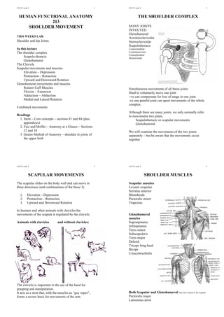 910 213 week 2                                              1   910 213 week 2                                                      2



  HUMAN FUNCTIONAL ANATOMY                                                THE SHOULDER COMPLEX
             213
     SHOULDER MOVEMENT                                          MANY JOINTS
                                                                INVOLVED
                                                                Glenohumeral
THIS WEEKS LAB:
                                                                Acromioclavicular
Shoulder and hip Joints                                         Sternoclavicular
                                                                Scapulothoracic
In this lecture                                                 Costovertebral
The shoulder complex                                            Costotransverse
                                                                Costochondral
     Scapulo-thoracic                                           Sternocostal
     Glenohumeral
The Clavicle
Scapular movements and muscles
     Elevation – Depression
     Protraction – Retraction
     Upward and Downward Rotation
Glenohumeral movements and muscles
     Rotator Cuff Muscles                                       Simultaneous movements of all these joints
     Flexion – Extension                                        Hard to voluntarily move one joint
     Adduction – Abduction                                      +ve can compensate for loss of range in one joint
     Medial and Lateral Rotation                                -ve one painful joint can upset movements of the whole
                                                                complex.
Combined movements
                                                                Although there are many joints, we only normally refer
Readings                                                        to movements two joints.
  1. Stern – Core concepts – sections 81 and 84 (plus               Scapulothoracic or scapular movements
     appendices)                                                    Glenohumeral
  2. Faiz and Moffat – Anatomy at a Glance – Sections
     32 and 34                                                  We will examine the movements of the two joints
  3. Grants Method of Anatomy – shoulder in joints of           separately – but be aware that the movements occur
     the upper limb                                             together




910 213 week 2                                              3   910 213 week 2                                                      4



             SCAPULAR MOVEMENTS                                                  SHOULDER MUSCLES
The scapular slides on the body wall and can move in            Scapular muscles
three directions (and combinations of the those 3)              Levator scapulae
                                                                Serratus anterior
   1.      Elevation – Depression                               Rhomboids
   2.      Protraction – Retraction                             Pectoralis minor
   3.      Upward and Downward Rotation                         Trapezius

In humans and other animals with clavicles the
movements of the scapula is regulated by the clavicle.          Glenohumeral
                                                                muscles
Animals with clavicles         and without clavicles:           Supraspinatus
                                                                Infraspinatus
                                                                Teres minor
                                                                Subscapularis
                                                                Teres major
                                                                Deltoid
                                                                Triceps long head
                                                                Biceps
                                                                Coracobrachialis




The clavicle is important in the use of the hand for
grasping and manipulation.
It acts as a strut that, with the muscles as “guy ropes”,       Both Scapular and Glenohumeral (they don’t attach to the scapula)
forms a secure basis for movements of the arm.                  Pectoralis major
                                                                Latissimus dorsi
 