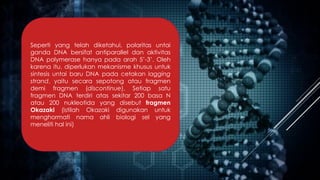 Seperti yang telah diketahui, polaritas untai
ganda DNA bersifat antiparallel dan aktivitas
DNA polymerase hanya pada arah 5’-3’. Oleh
karena itu, diperlukan mekanisme khusus untuk
sintesis untai baru DNA pada cetakan lagging
strand, yaitu secara sepotong atau fragmen
demi fragmen (discontinue). Setiap satu
fragmen DNA terdiri atas sekitar 200 basa N
atau 200 nukleotida yang disebut fragmen
Okazaki (istilah Okazaki digunakan untuk
menghormati nama ahli biologi sel yang
meneliti hal ini)
 