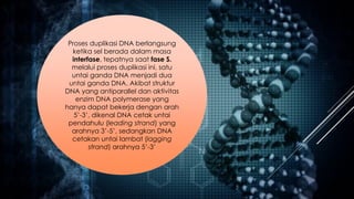 Proses duplikasi DNA berlangsung
ketika sel berada dalam masa
interfase, tepatnya saat fase S.
melalui proses duplikasi ini, satu
untai ganda DNA menjadi dua
untai ganda DNA. Akibat struktur
DNA yang antiparallel dan aktivitas
enzim DNA polymerase yang
hanya dapat bekerja dengan arah
5’-3’, dikenal DNA cetak untai
pendahulu (leading strand) yang
arahnya 3’-5’, sedangkan DNA
cetakan untai lambat (lagging
strand) arahnya 5’-3’
 