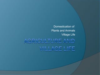 Agriculture and village life, Domestication of plants & animals | PPT
