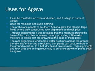 Agriculture and village life, Domestication of plants & animals | PPT