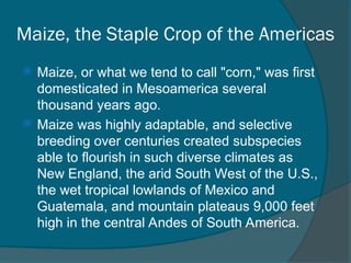 Agriculture and village life, Domestication of plants & animals | PPT