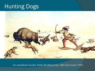 Agriculture and village life, Domestication of plants & animals | PPT