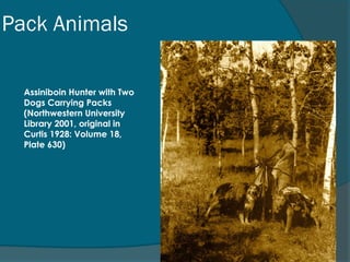 Agriculture and village life, Domestication of plants & animals | PPT