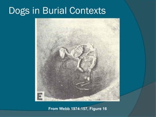 Agriculture and village life, Domestication of plants & animals | PPT