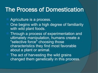 Agriculture and village life, Domestication of plants & animals | PPT