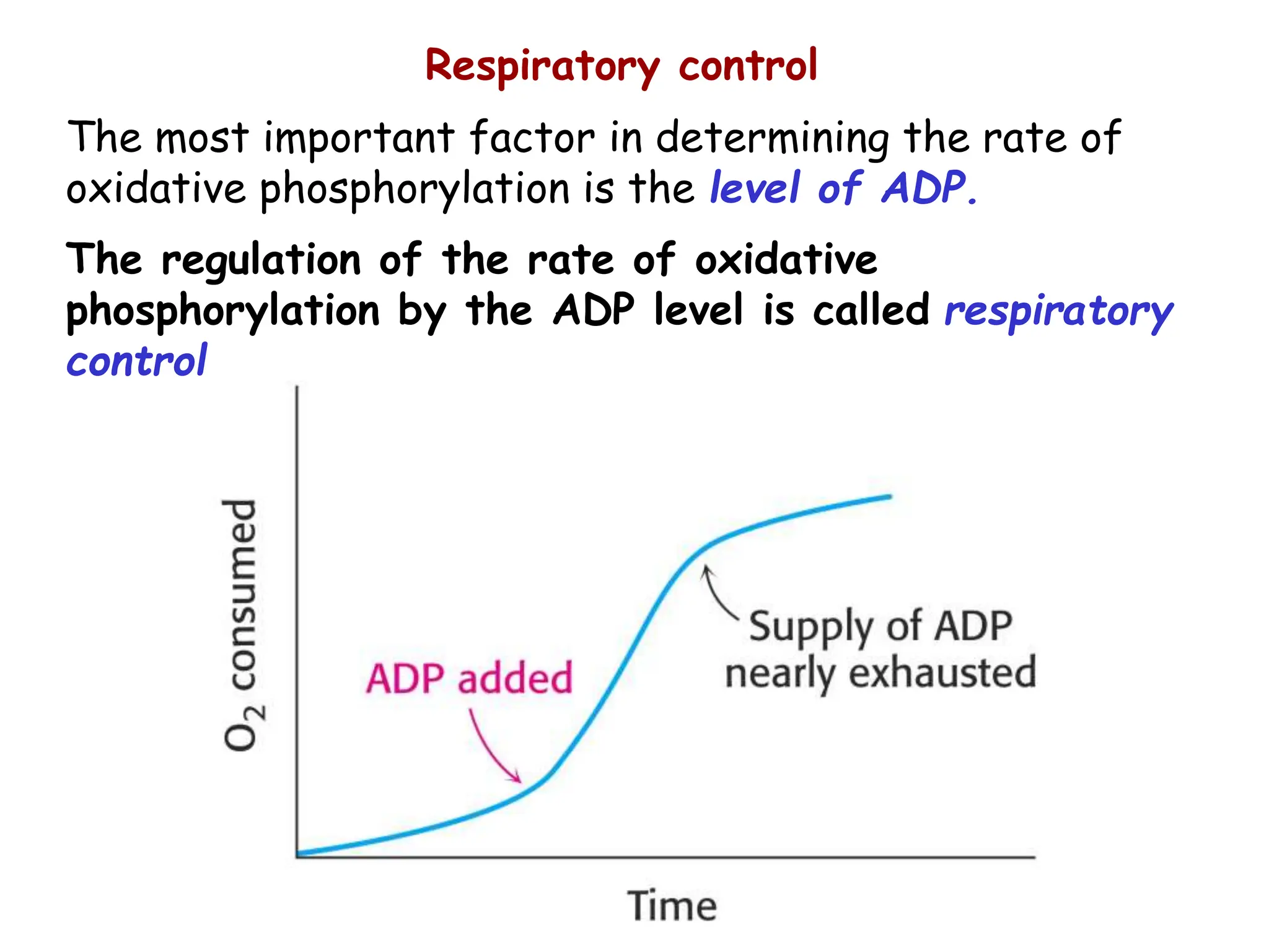 The most important factor in determining the rate of
oxidative phosphorylation is the level of ADP.
The regulation of the rate of oxidative
phosphorylation by the ADP level is called respiratory
control
Respiratory control
 
