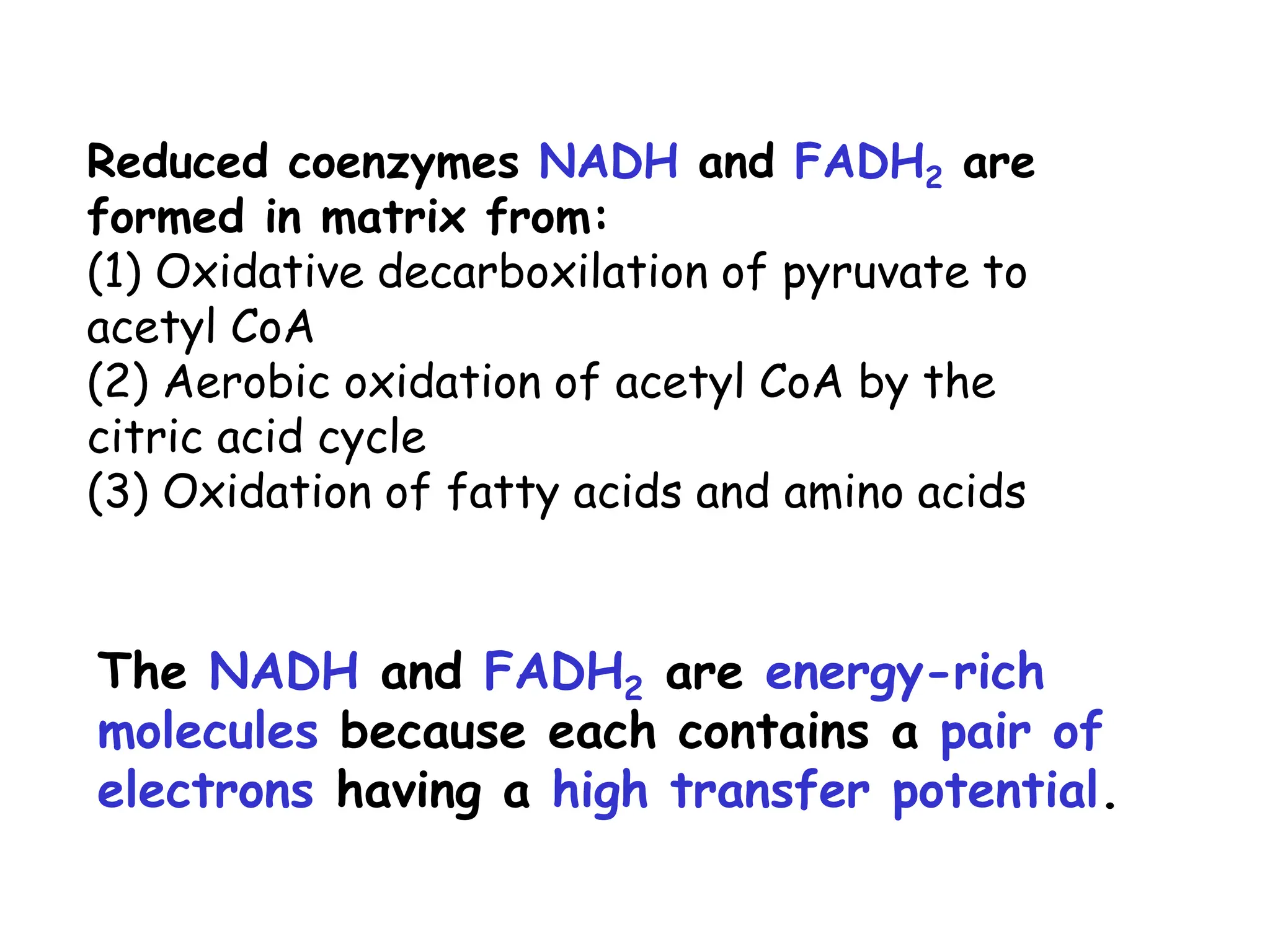 Reduced coenzymes NADH and FADH2 are
formed in matrix from:
(1) Oxidative decarboxilation of pyruvate to
acetyl CoA
(2) Aerobic oxidation of acetyl CoA by the
citric acid cycle
(3) Oxidation of fatty acids and amino acids
The NADH and FADH2 are energy-rich
molecules because each contains a pair of
electrons having a high transfer potential.
 