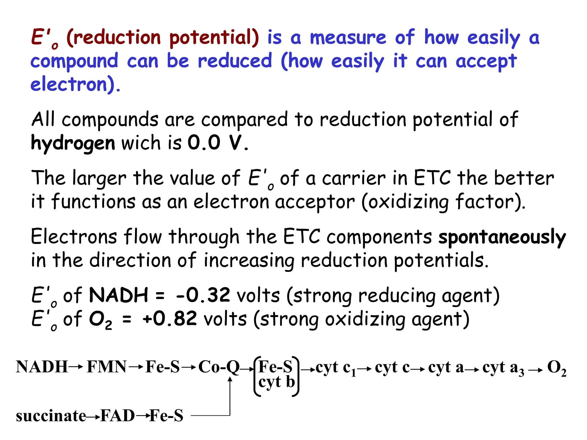 E'o (reduction potential) is a measure of how easily a
compound can be reduced (how easily it can accept
electron).
All compounds are compared to reduction potential of
hydrogen wich is 0.0 V.
The larger the value of E'o of a carrier in ETC the better
it functions as an electron acceptor (oxidizing factor).
Electrons flow through the ETC components spontaneously
in the direction of increasing reduction potentials.
E'o of NADH = -0.32 volts (strong reducing agent)
E'o of O2 = +0.82 volts (strong oxidizing agent)
cyt b
NADH FMN Fe-S Co-Q Fe-S cyt c1 cyt c cyt a cyt a3 O2
succinate FAD Fe-S
 