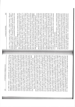 DAVID-ABRAM - A Magia do Sensível, anotada