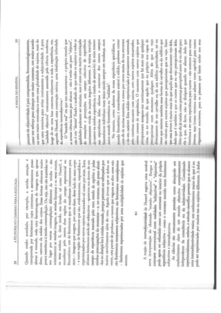 DAVID-ABRAM - A Magia do Sensível, anotada