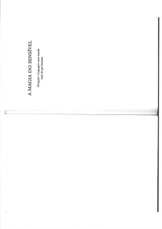 DAVID-ABRAM - A Magia do Sensível, anotada