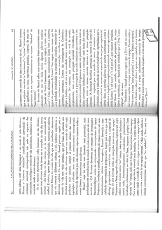 DAVID-ABRAM - A Magia do Sensível, anotada