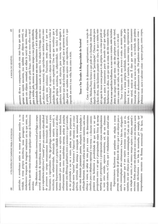 DAVID-ABRAM - A Magia do Sensível, anotada