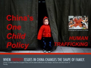 China’s
One
Child
Policy

Endangered species in China

HUMAN
TRAFFICKING

WHEN FERTILITY ISSUES IN CHINA CHANGES THE SHAPE OF FAMILY.
China s One-Child-Per-Couple-Policy and its latent effects on the shape, structure and the future of
Family.

 