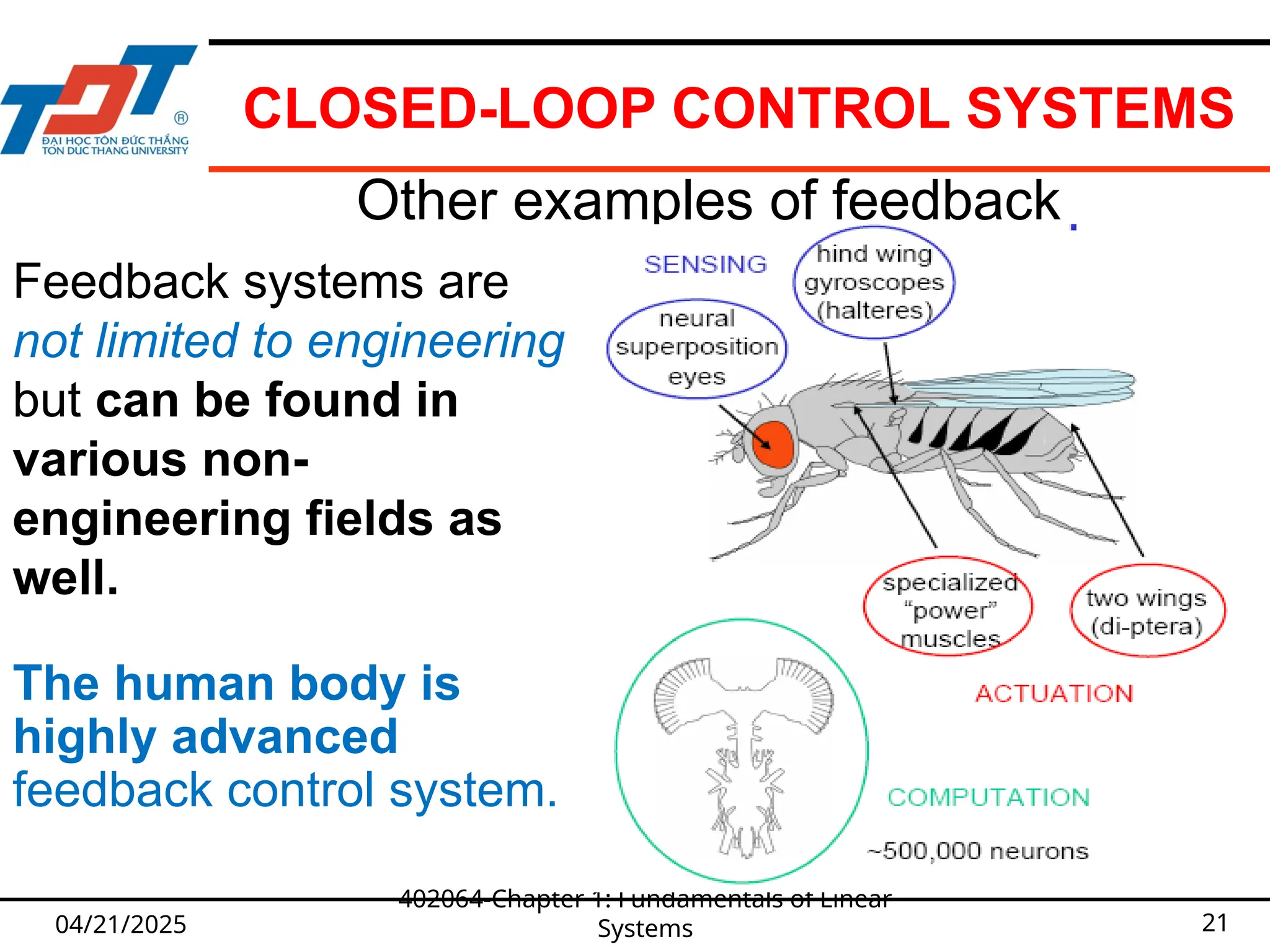 CLOSED-LOOP CONTROL SYSTEMS
04/21/2025
402064-Chapter 1: Fundamentals of Linear
Systems 21
Other examples of feedback
Feedback systems are
not limited to engineering
but can be found in
various non-
engineering fields as
well.
The human body is
highly advanced
feedback control system.
 